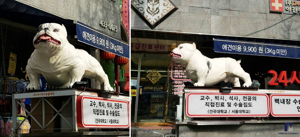 [FRP 강아지 모형] 동물병원 상징 불독 조형물 제작