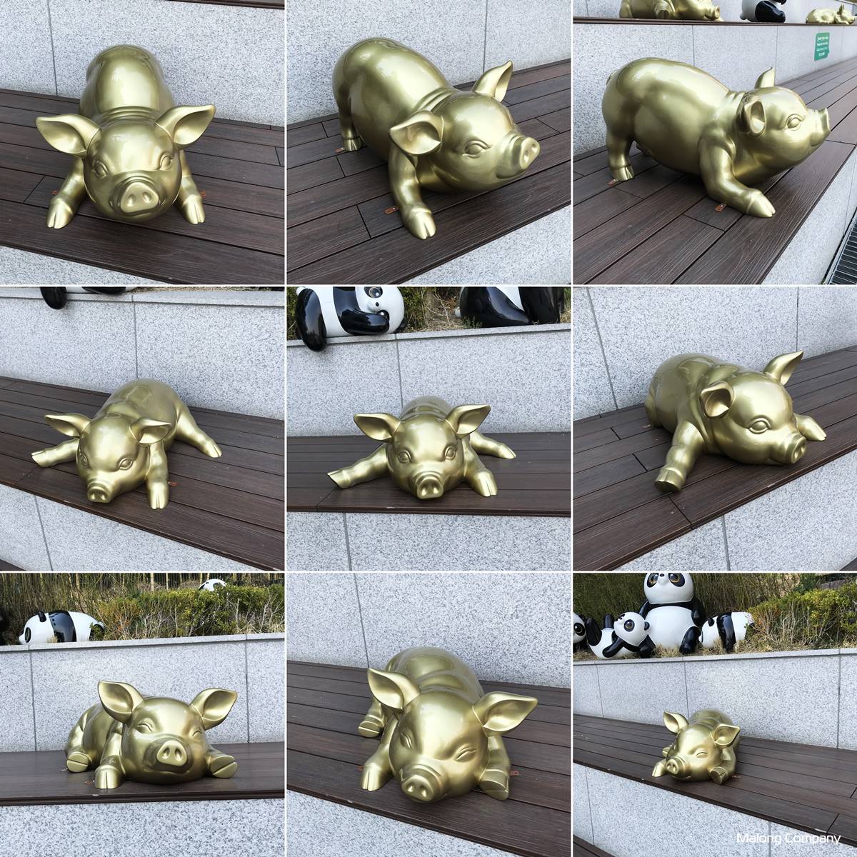 [FRP 동물 조형물] 황금 아기돼지 벤치 조형물 제작 사례